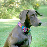 Hand Woven Pet Collars - Made in Guatemala