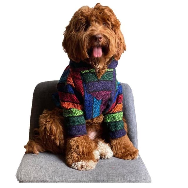 DOG Hoodies - Made in Mexico Dog Baja