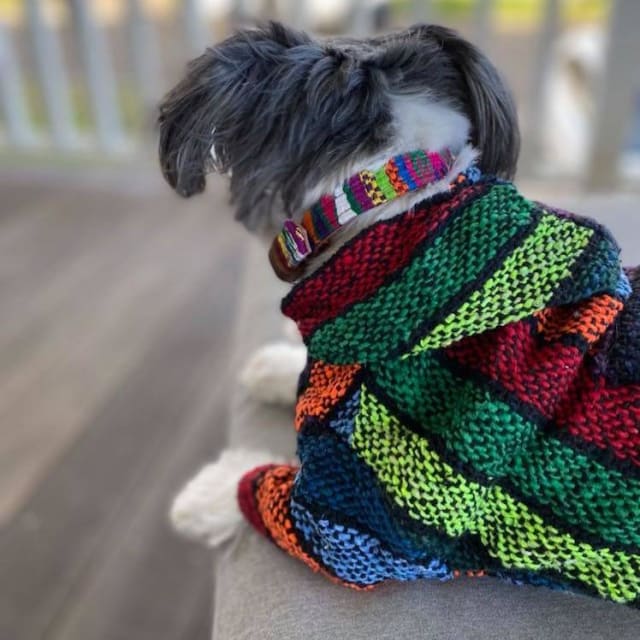 DOG Hoodies - Made in Mexico Dog Baja