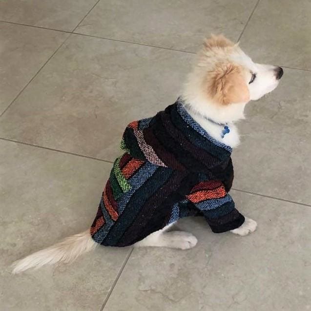 DOG Hoodies - Made in Mexico Dog Baja