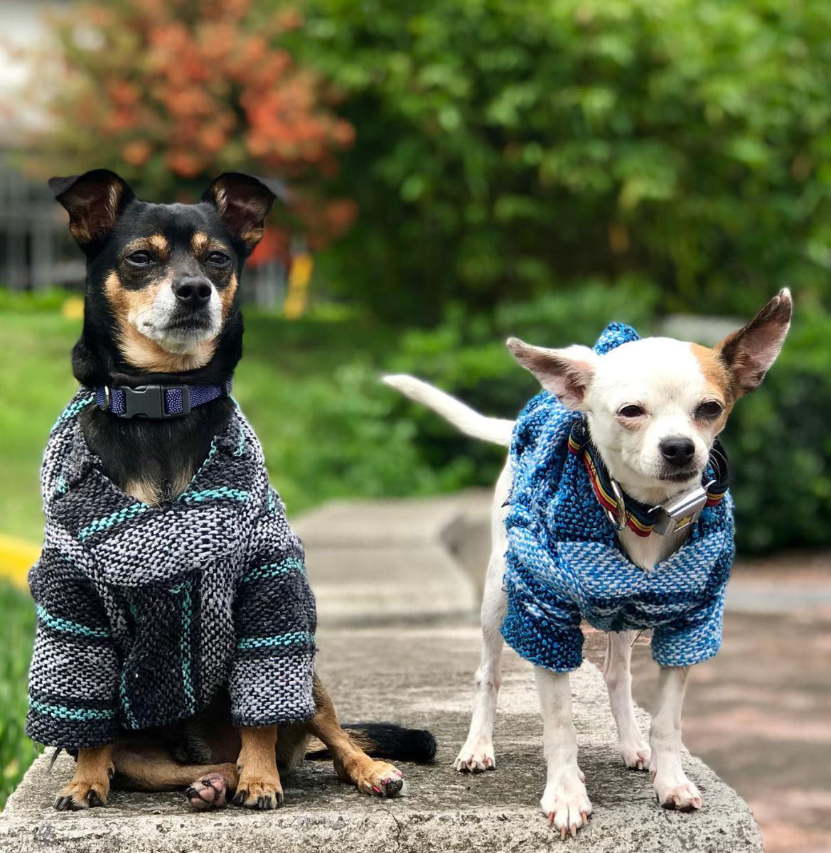 The History and Cultural Significance of Baja Hoodies A Deep Dive